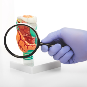 Choroby autoimmunologiczne i przewlekłe w gabinecie higieny - opis, diagnostyka, zalecenia