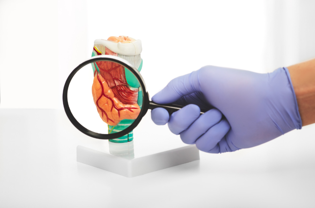 Choroby autoimmunologiczne i przewlekłe w gabinecie higieny - opis, diagnostyka, zalecenia